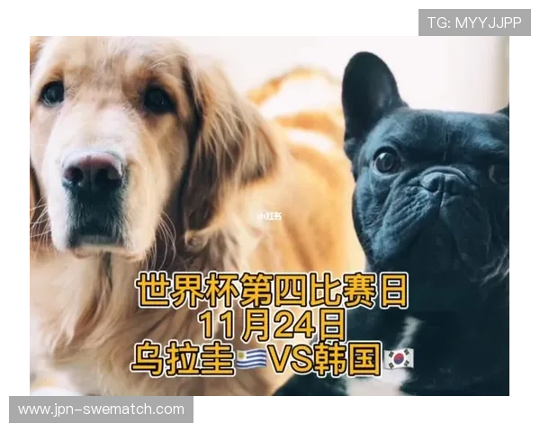 世界杯乌拉圭对阵西班牙比赛纪念品及周边商品最新款式推荐与购买攻略